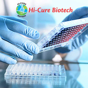 Pharma Franchise Company in Vizag