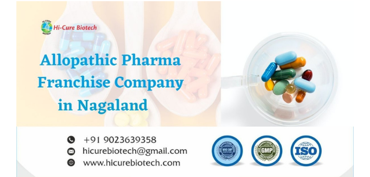 Allopathic Pharma Franchise Company in Nagaland