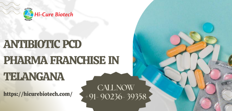 Antibiotic PCD Pharma Franchise In Telangana